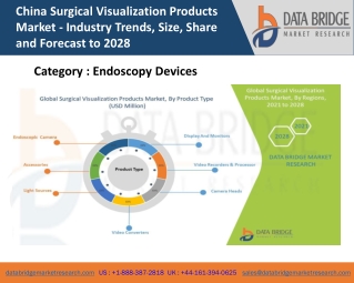 China Surgical Visualization Products Market