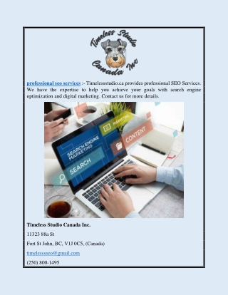 Professional Seo Services | Timelessstudio.ca