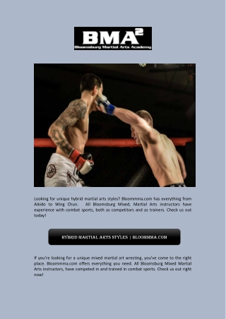 Hybrid Martial Arts Styles | Bloommma.com
