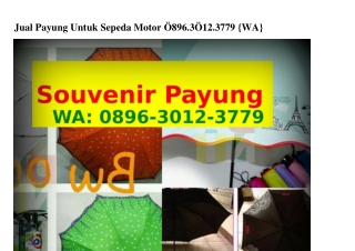 Jual Payung Untuk Sepeda Motor ౦8ᑫϬ-3౦l2-377ᑫ(whatsApp)