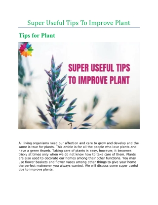 Super Useful Tips To Improve Plant
