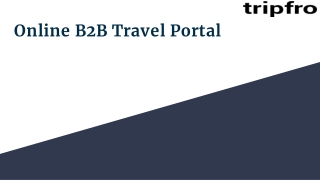 Online B2B Travel Portal
