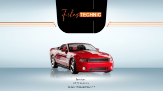 FAPDPF Flexfuel adblueoff Files Technic