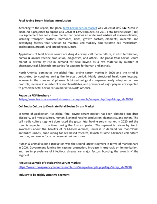 Fetal Bovine Serum Market to Flourish with an Impressive CAGR by 2031