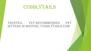 Trusted, Vet-recommended Pet Sitters in Boston| cuddlytails.com