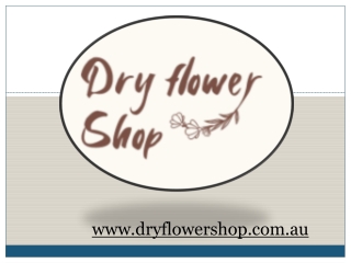 Buy Natural Dried Flower Online In Australia