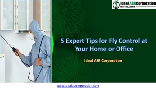 5 Expert Tips for Fly Control at Your Home or Office -IdealASR