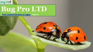 Keeping Nasty Pests Away From People With The Fumigation Services in Nigeria