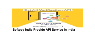 Softpay India Provide API Service in india