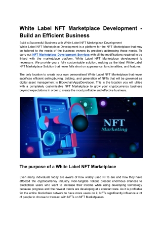 White Label NFT Marketplace Development - Build an Efficient Business