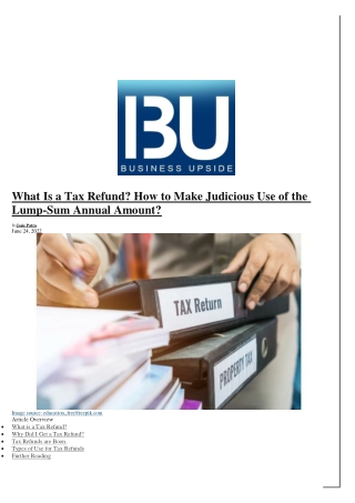 What Is a Tax Refund? How to Make Judicious Use of the Lump-Sum Annual Amount?