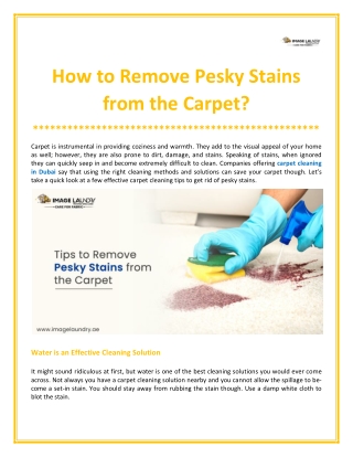 How to Remove Pesky Stains from the Carpet?
