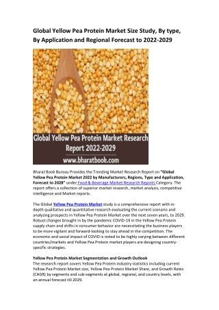 Global Yellow Pea Protein Market Research Report 2022-2029