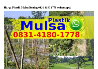 Harga Plastik Mulsa Bening Ô83I–4I8Ô–I778[WA]