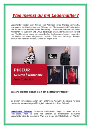Was meinst du mit Lederhalfter