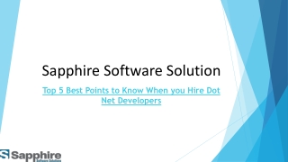 Top 5 Best Points to Know When you Hire Dot Net Developers | Sapphire