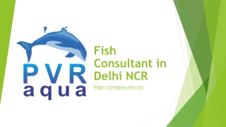 Fish Consultant in Delhi NCR