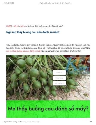 Ngủ mơ thấy buồng cau nên đánh số nào_ - Kubet Ab