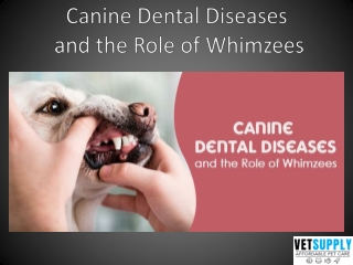 Canine Dental Diseases and the role of Whimzees Dental treatment