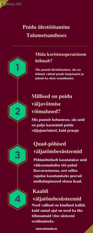 Puidu ülestöötamine talumetsanduses