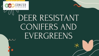 Evergreens that are resistant to deer for gardening in your yard