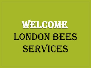 Best Carpet Cleaning in Dollis Hill