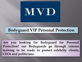Bodyguard VIP Personal Protection