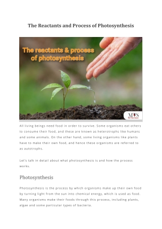 The Reactants and Process of Photosynthesis