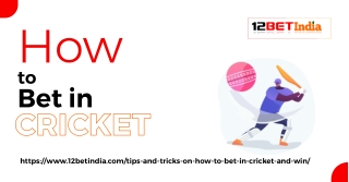 Tips and tricks on how to bet in cricket and win