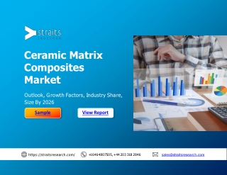 Ceramic Matrix Composites