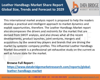 Leather Handbags Market Share Report Global Size, Trends and Forecast to 2029