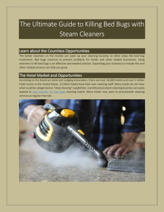 The Ultimate Guide to Killing Bed Bugs with Steam Cleaners