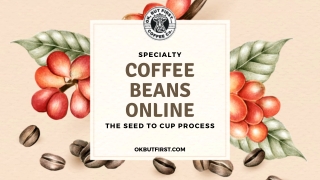 Specialty Coffee Beans Online The Seed To Cup Process