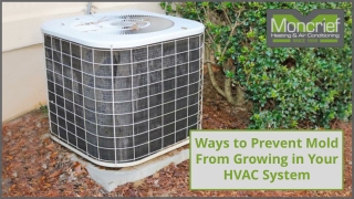 Ways You Can Prevent Mold From Growing in Your HVAC System