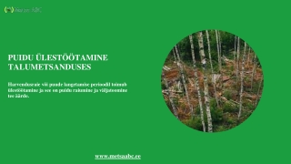 Puidu ülestöötamine talumetsanduses
