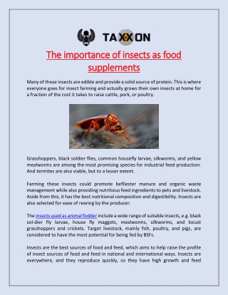 The importance of insects as food supplements