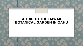 A Trip to the Hawaii Botanical Garden in Oahu