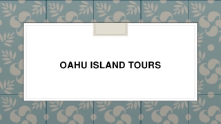 Oahu Island Tours