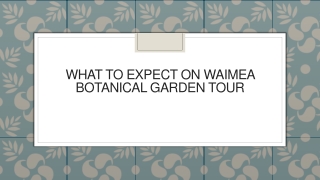 What to Expect on Waimea Botanical Garden Tour