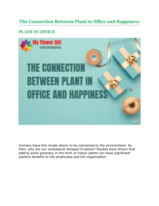 The Connection Between Plant in Office and Happiness