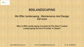 Why Is 800 Landscaping Considered The Most Trusted Landscaping Service Provider