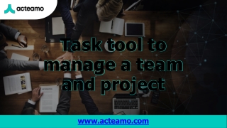 Task tool to manage a team and project