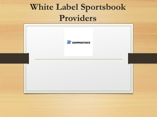 White Label Online Casino Software