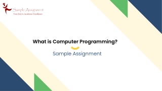 What is Computer Programming  | Sample Assignment