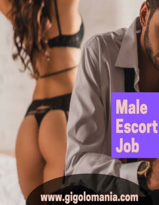 Fundamental preparing tips and instruments for male escorts