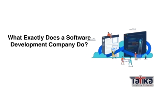 What Exactly Does a Software Development Company Do?