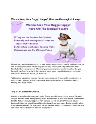 Wanna Keep Your Doggo Happy? Here are the magical 4 ways
