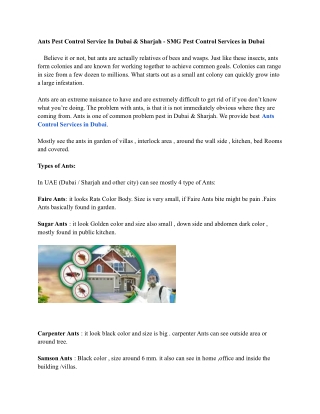 Ants Pest Control Service In Dubai & Sharjah - SMG Pest Control Services in Dubai