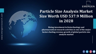Particle Size Analysis Market Global Key Manufacturers Analysis for 2020 - 2028