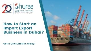 How to Start an Import Export Business in Dubai